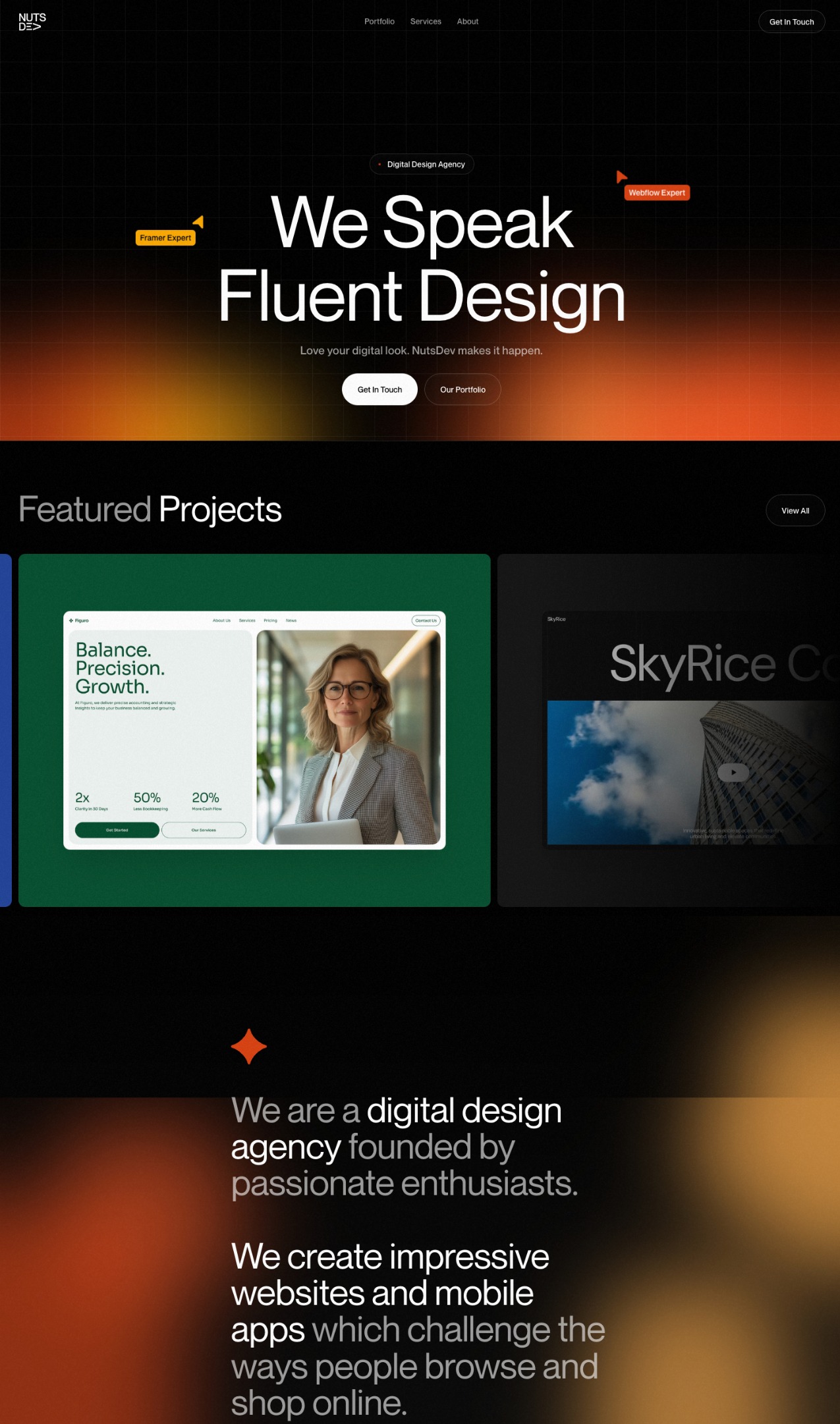 NutsDev design agency portfolio - creative portfolio