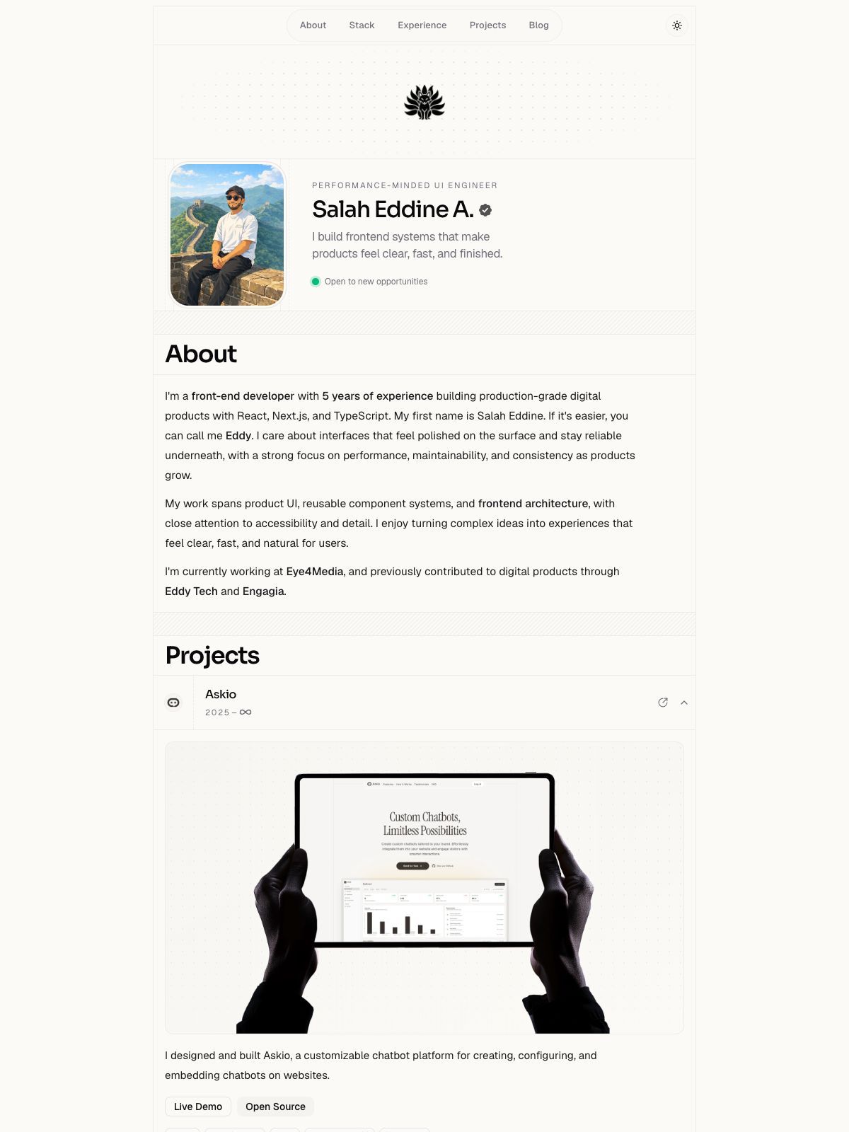 Salah Eddine A. software developer portfolio - creative portfolio